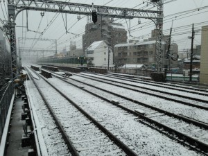 IMG_8290